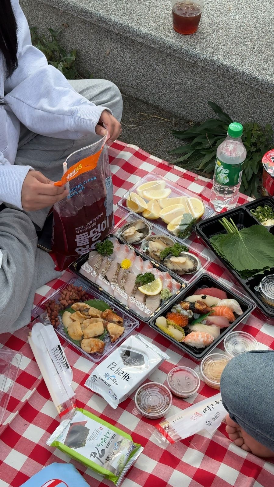 빨간 체크 돗자리 위에 펼친 회와 초밥 포장 팩