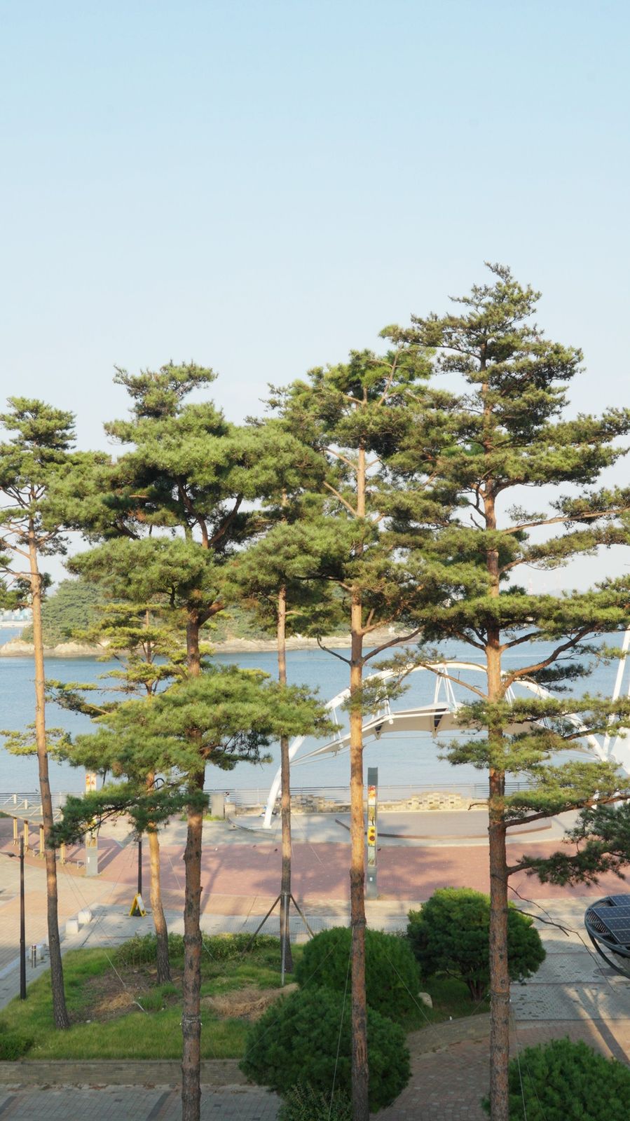 3층 테라스 너머로 보이는 소나무와 바다